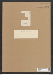 Grammatophora perpusilla Grun. (de-Toni-Nr.: Genus 93, Species 3055) Zeichnungen Sammlung Grunow Nr. 6194 (NHMW-BOT-W0374771)